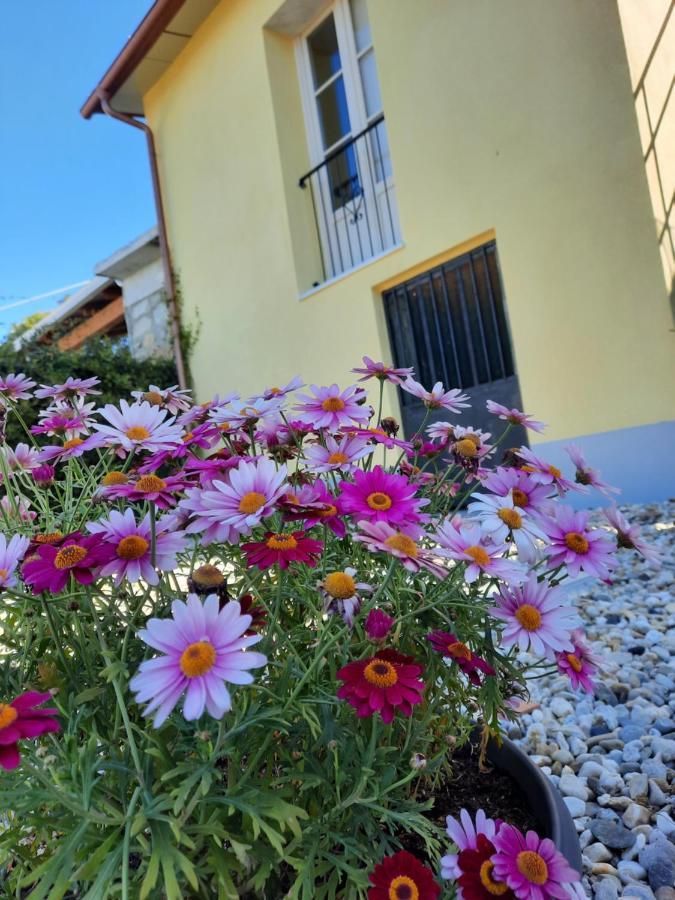 B&B Ca Di Bollo Moneglia Exteriér fotografie